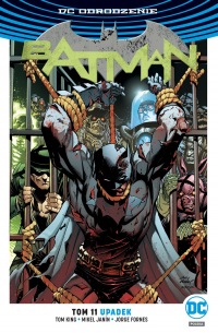 Batman #11: Upadek