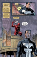 Marvel Knights. Punisher #01