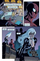 Spider-Man i Czarna Kotka #01: Zło, które ludzie czynią