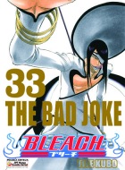 Bleach #33