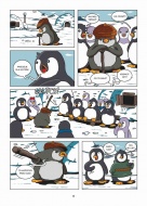 Kraina Pingwina. Ekspedycja